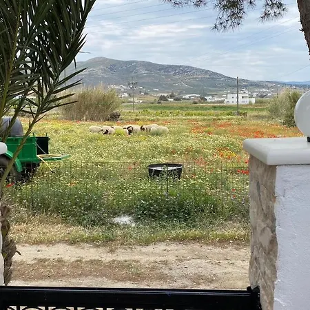 Eirini's House - Mikri Vigla, Nr Beach * 米科利维亚